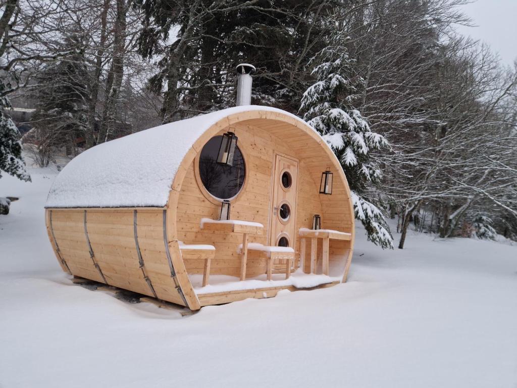Auberge Hi le Mont-Dore - Chalet le Grand Vulcano — Esterni